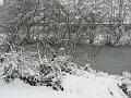 Snow, Blackheath P1070121